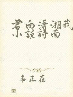 君向潇湘我向秦小说诗南
