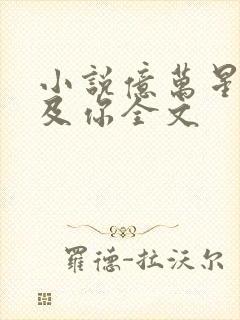 小说亿万星辰不及你全文封面