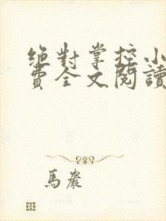 绝对掌控小说免费全文阅读笔趣阁