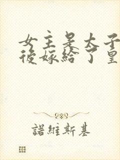 女主是太子妃最后嫁给了皇上