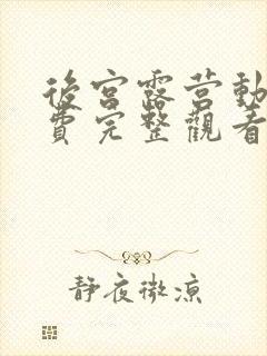 后宫露营动漫免费完整观看