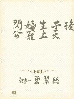 闪婚生子后被老公宠上天封面