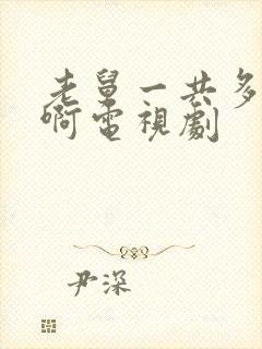 老舅一共多少集啊电视剧