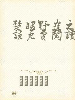 楚昭野崔之棠小说免费阅读最新章节