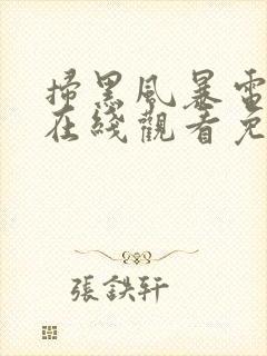 扫黑风暴电视剧在线观看免费25集