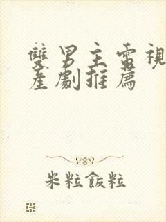 双男主电视剧国产剧推荐封面