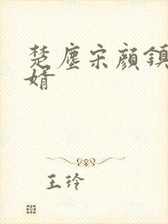 楚尘宋颜镇国神婿