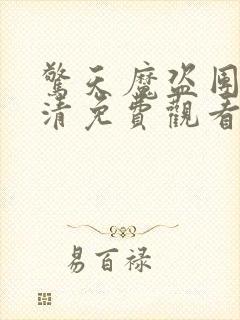 惊天魔盗团4高清免费观看