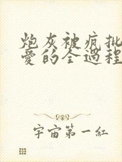 炮灰被疯批强制爱的全过程,np