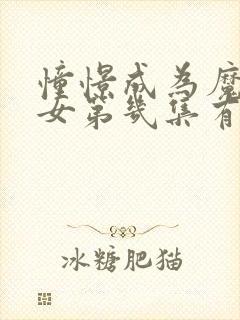 憧憬成为魔法少女第几集有高能