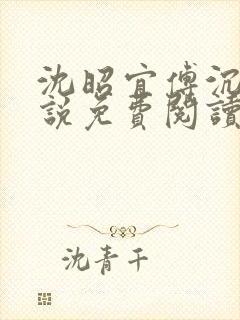 沈昭宜傅沉砚小说免费阅读最新章节封面