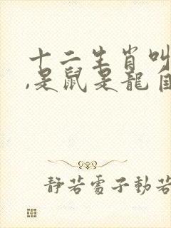 十二生肖叫老大,是鼠是龙自己猜打一生肖