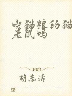 吃猫粮的猫会抓老鼠吗封面