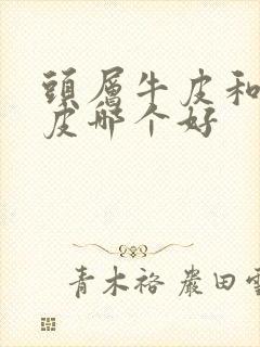 头层牛皮和全真皮哪个好