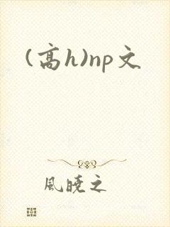 (高h)np文