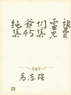 纯爷们电视剧全集45集免费观看