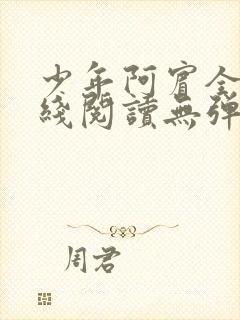 少年阿宾全文在线阅读无弹窗封面