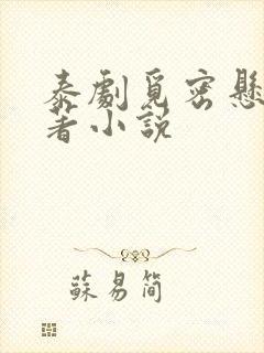 泰剧觅密悬律原著小说