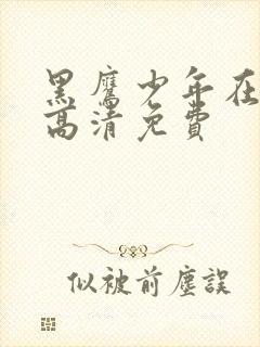 黑鹰少年在线版高清免费