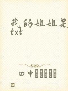 我的姐姐是美女txt