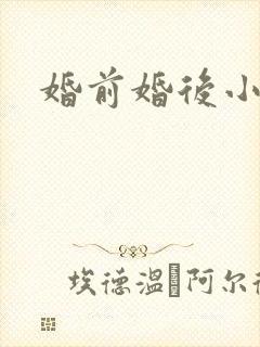 婚前婚后小说
