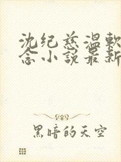 沈纪慈温软许念念小说最新章节更新封面