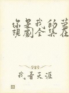 你是我的荣耀电视剧全集在线观看