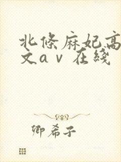 北条麻妃高清中文aⅴ在线