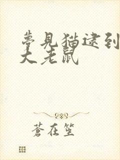 梦见猫逮到一只大老鼠