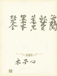 楚墨叶轻舞小说全本免费阅读最新章