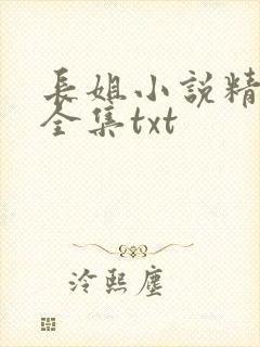 长姐小说精校版全集txt封面