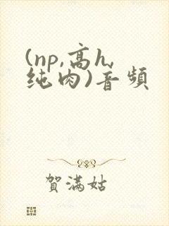 (np,高h,纯肉)音频