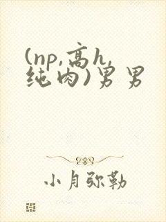 (np,高h,纯肉)男男