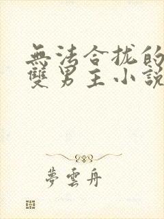 无法合拢的总裁双男主小说