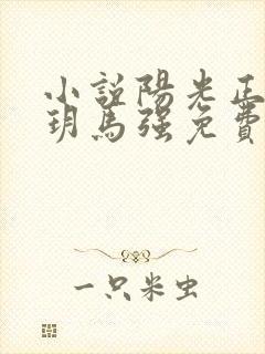 小说阳光正好苏玥马强免费阅读