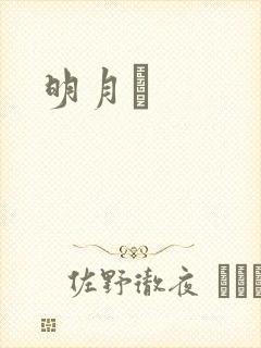 明月珰封面
