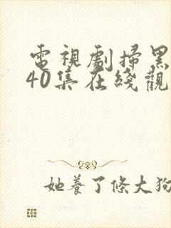 电视剧扫黑风暴40集在线观看免费封面