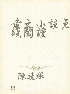 黄文小说免费在线阅读