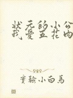 状元的小公主(我爱五花肉)