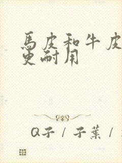 马皮和牛皮哪个更耐用