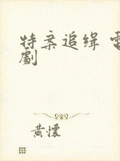 特案追缉 电视剧