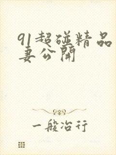 91超碰精品人妻公开