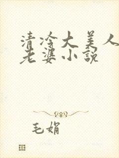 清冷大美人是我老婆小说