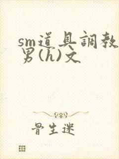 sm道具调教男男(h)文封面
