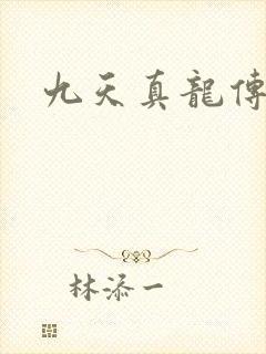 九天真龙传封面