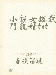 小说女总裁的上门龙婿txt封面
