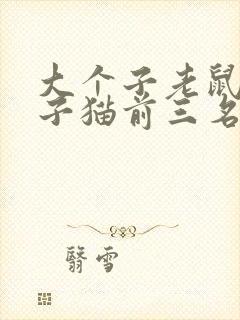 大个子老鼠小个子猫前三名读后感