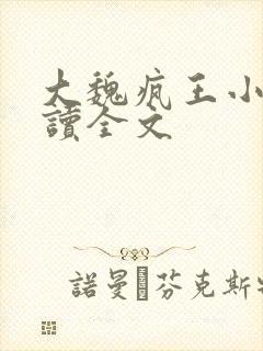 大魏疯王小说阅读全文封面