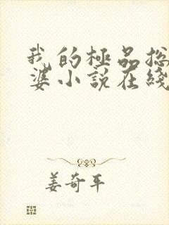 我的极品总裁老婆小说在线阅读封面