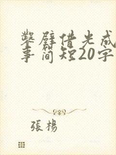 凿壁借光成语故事简短20字封面